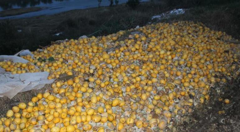 656d761086b24416a8897883 Adana’da şoke eden manzara Tonlarca limon dere yatağına döküldü