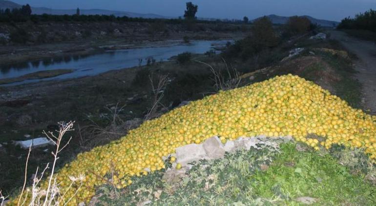 656d761086b24416a8897886 Adana’da şoke eden manzara Tonlarca limon dere yatağına döküldü