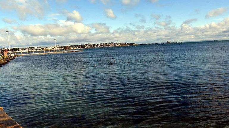 Ciddi bir artış dedi, Marmara Denizini işaret etti: 2,5 °C yükseldi