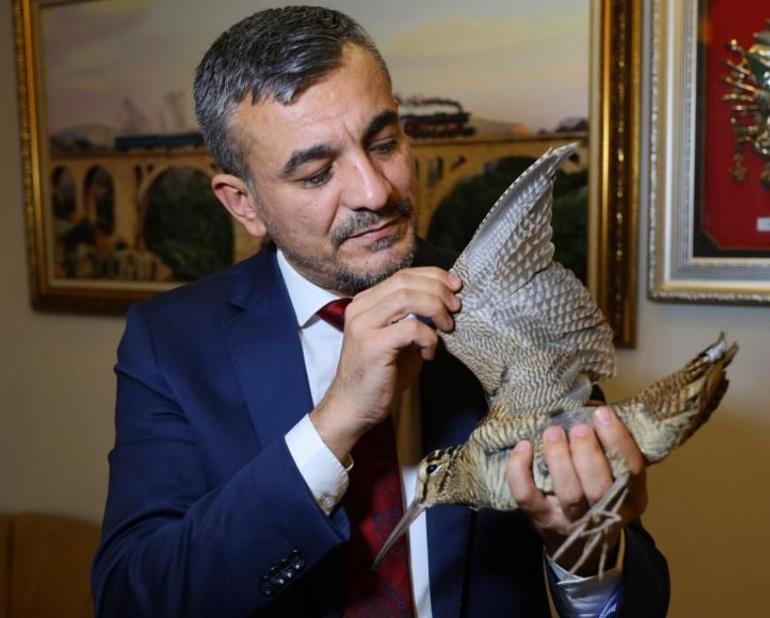 657026fa86b2470188888106 Adanada Sibirya suçulluğu yaralı halde bulundu