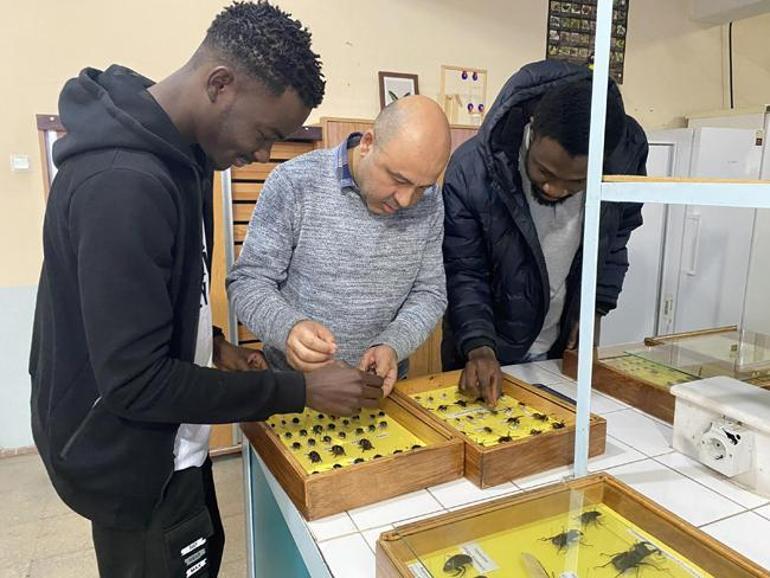 Türkiyede yeni bir böcek türü Keşfedildi: Medon turcicus