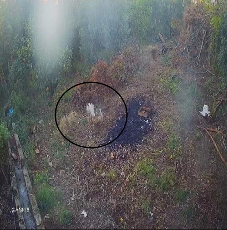 Güvenlik kamerasını izleyince şok oldu: Arabayı çalıştırdığım an geliyor