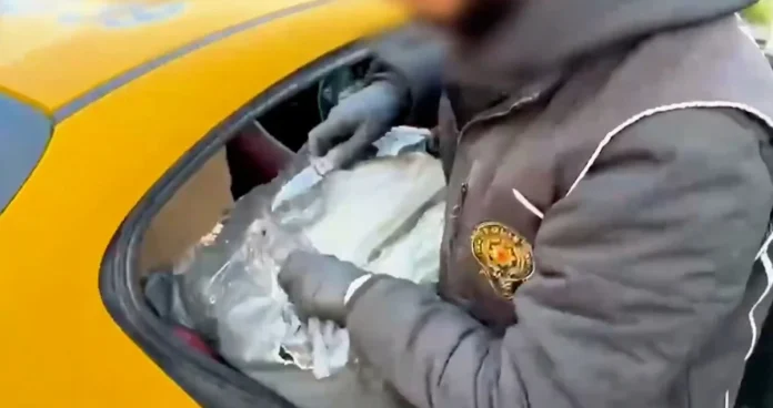 İstanbul'da dev skunk operasyonu: 880 kg yakalandı