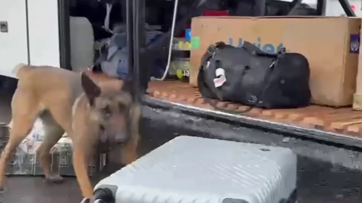 Erzurum’da Zehir Tacirlerine Narkotik Köpeği Darbesi