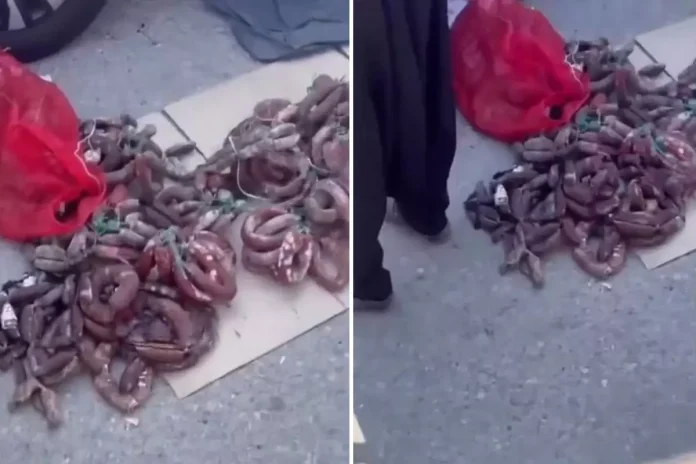 Uzmanlardan Kritik Uyarılar