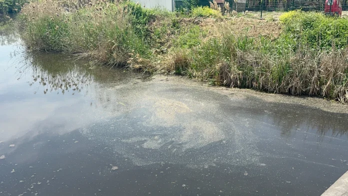 Yalova’da Skandal: Denize Atık Su, YASKİ’ye Ceza
