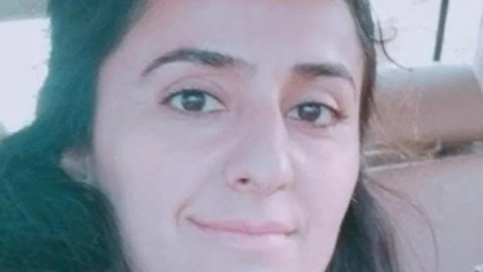Bilecik'te Yıldırım Telefonla Konuşan Kişiyi Vurdu