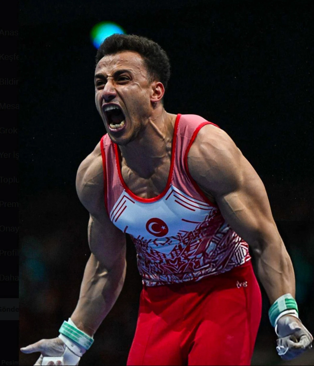 Adem Asil, Avrupa'da Altın Madalya Kazandı