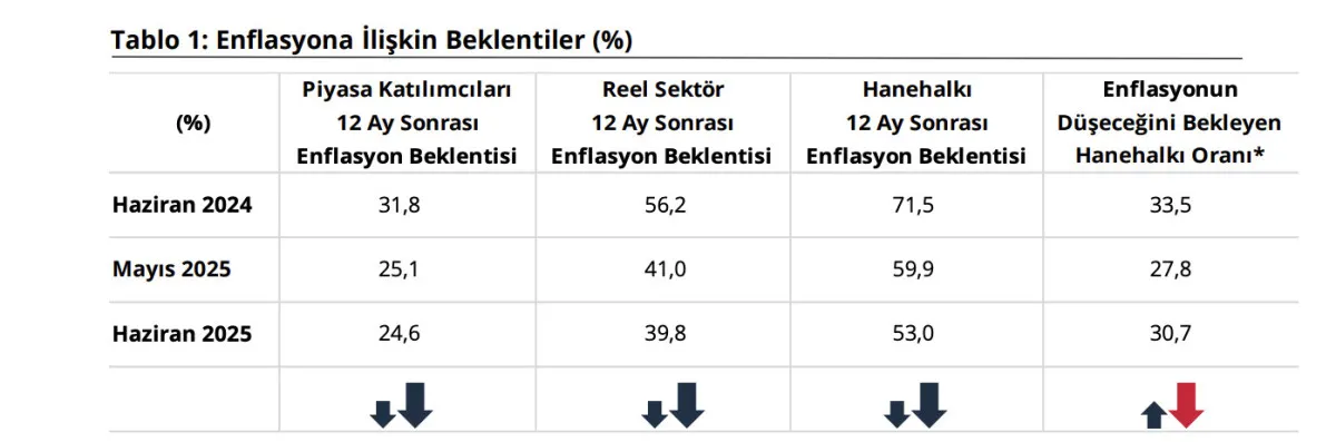 TCMB: Haziranda Sektörel Enflasyon Düşüşte