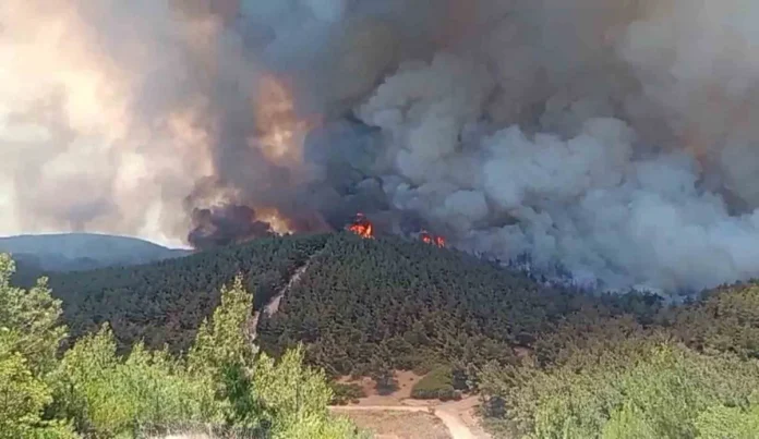 Foça’da Çıkan Orman Yangınına Müdahale Sürüyor