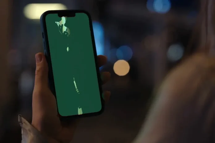 ses-kaydiyla-her-sey-ifsa-olmustu-baldizla-20-19198529_98_amp (1)